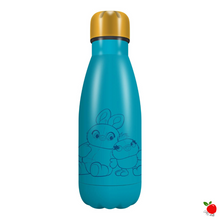 Load image into Gallery viewer, Toy Story 4 Ducky and Bunny Metal Water Bottle - 260ml - Poisoned Apple UK